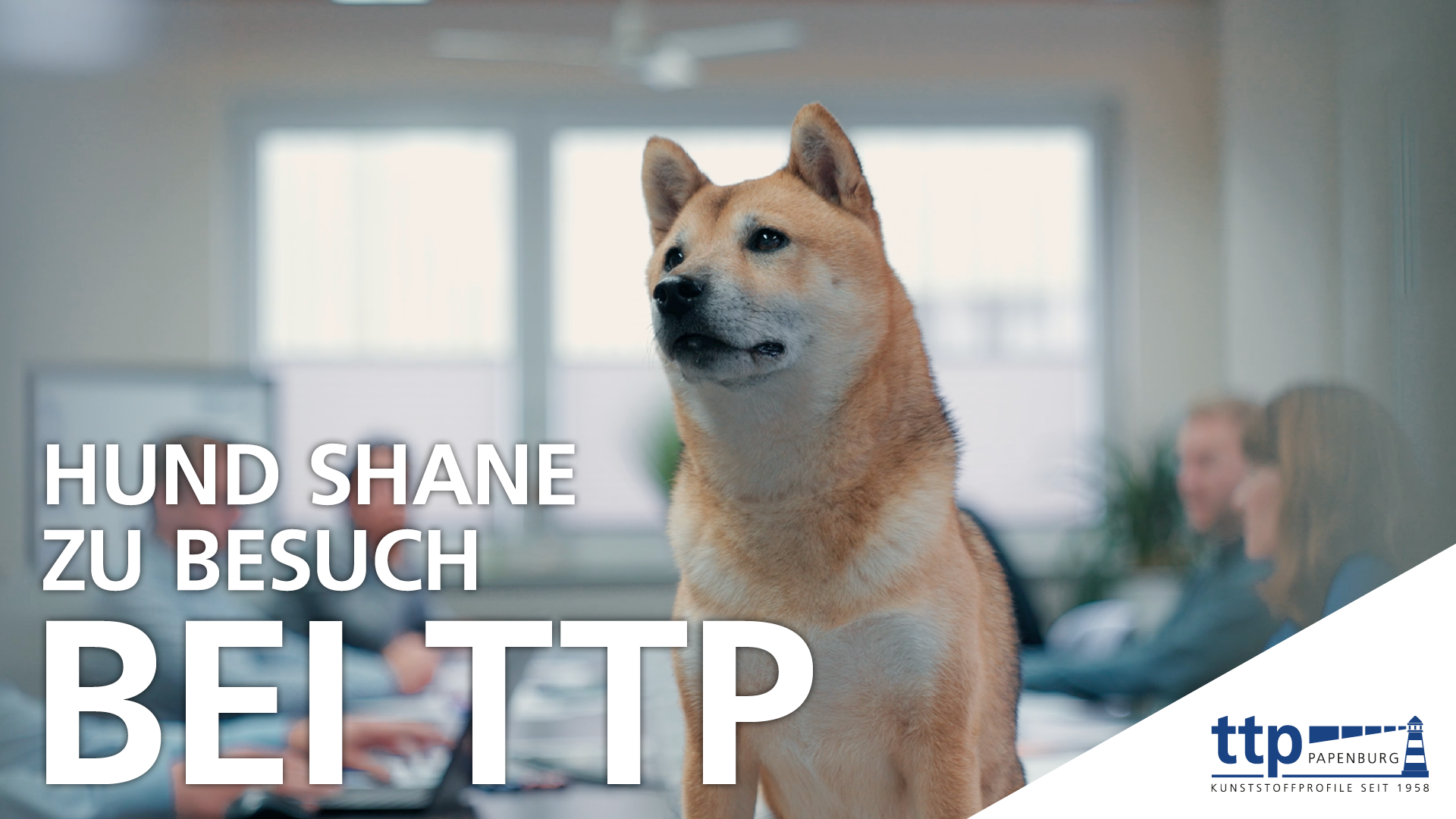 ttp Papenburg GmbH